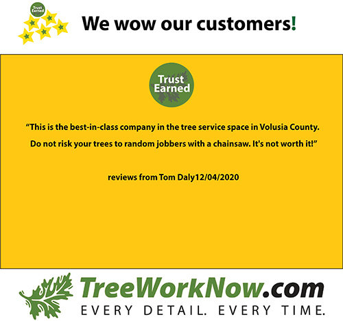 If you're seeking Winter Spring tree service, contact Tree Work Now for your free estimate on our services.
