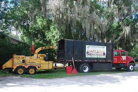 Tree Removal Equipment