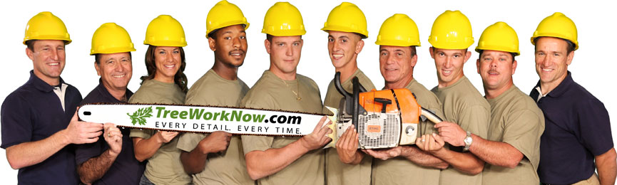 TreeWorkNow Tree Trimming Orlando Crew Photo with Saw