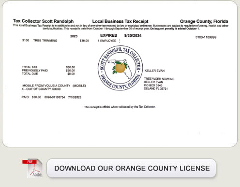 TreeWorkNow.com occupational license for tree Orlando tree trimming and services.