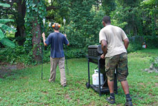 Preventing tree trimming damage