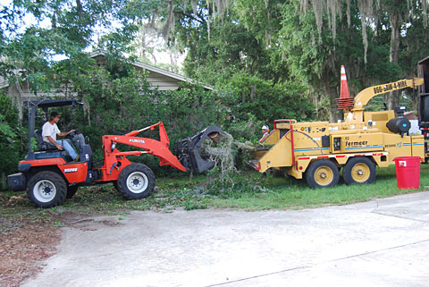 Tree Removal Equipment