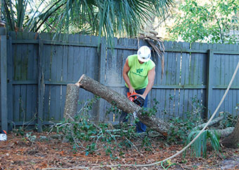 Our Orlando FL tree service can help remove damaged tree debris after a storm.