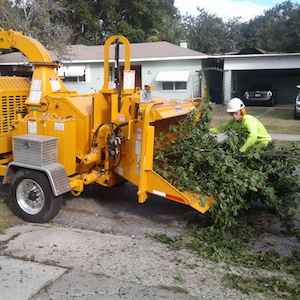 Clear larger volumes of post-storm debris with Tree Work Now - an Orlando FL tree service.