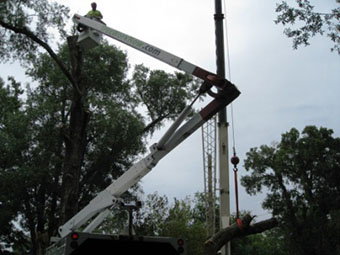 Tree service in Orlando removing large heavy log with crane
