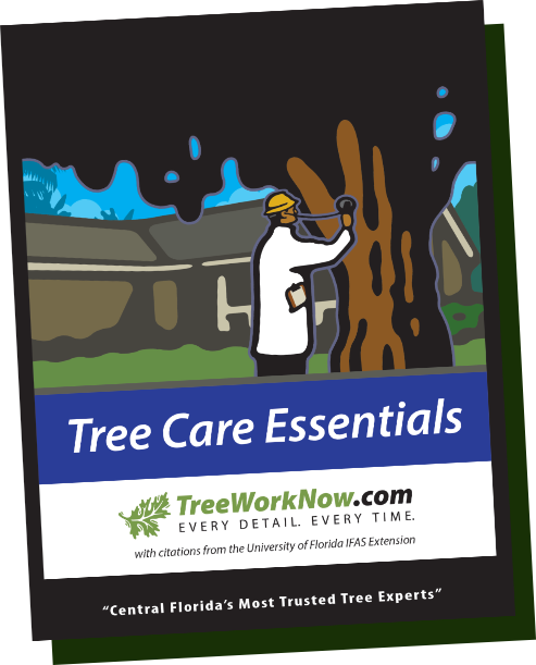 FREE e-book: Tree Care Essentials