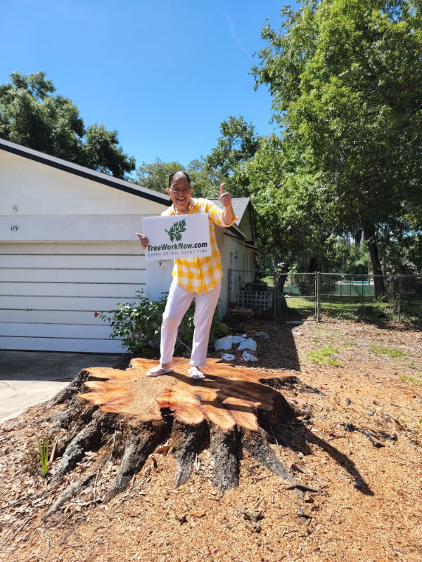 Orlando tree removal