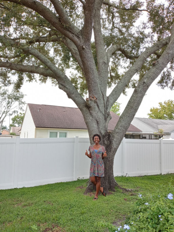 Orlando tree pruning