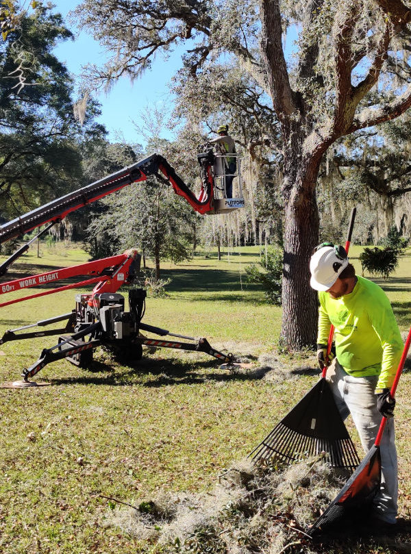 Florida Certified Arborist