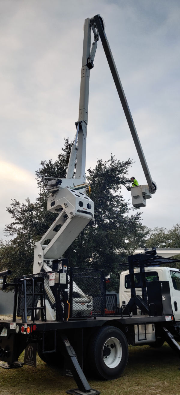 Orlando tree service
