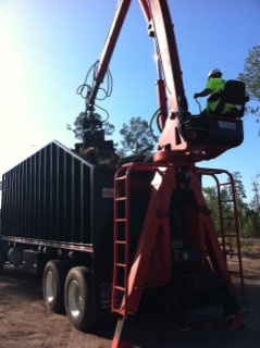 Tree service in Orlando using high quality equipment to remove debris