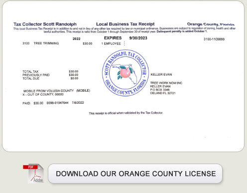 TreeWorkNow.com Orange County, FL occupational license