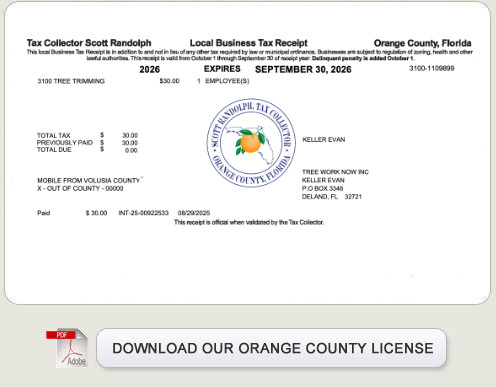 TreeWorkNow.com occupational license for tree Orlando tree trimming and services.