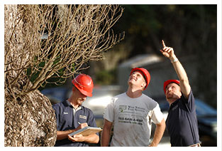 Our Orlando tree removal and tree trimming crew are backed by general liability coverage.