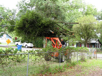 Tree service in Orlando removing brush with tractor